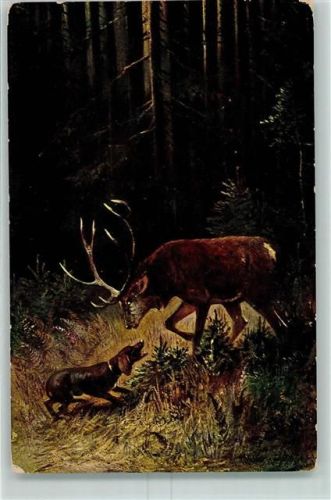 sign. Müller jun. Hirsch und Jagdhund AK