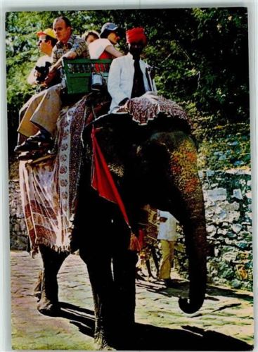 Jaipur Elefant ride at Amber Palace Touristen