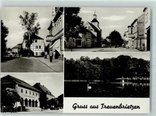 Treuenbrietzen Schwan