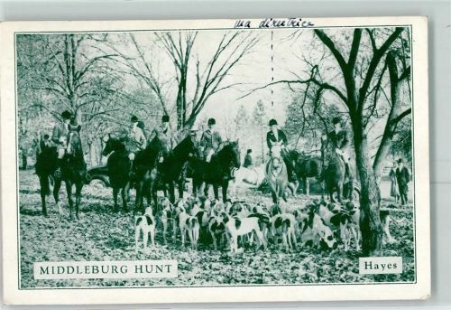 Middleburg 1938 Jagdgesellschaft Pferde Hunde