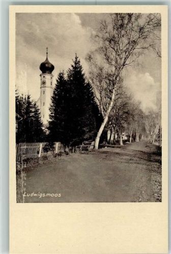 Ludwigsmoos Kirche Birken