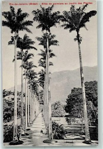 Rio de Janeiro
