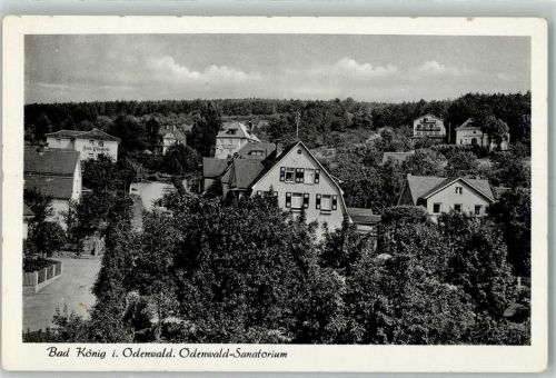 Bad König