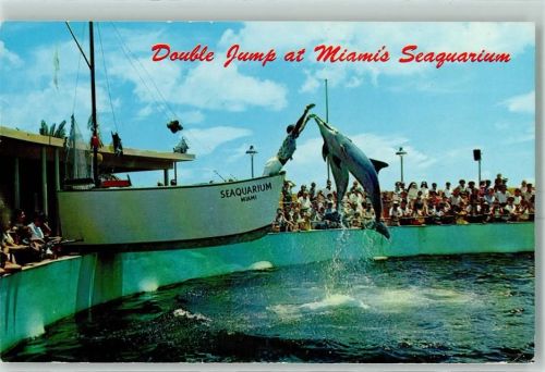 Miami Freizeitpark Seaquarium AK
