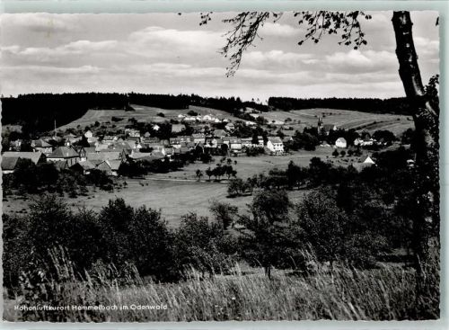 Hammelbach