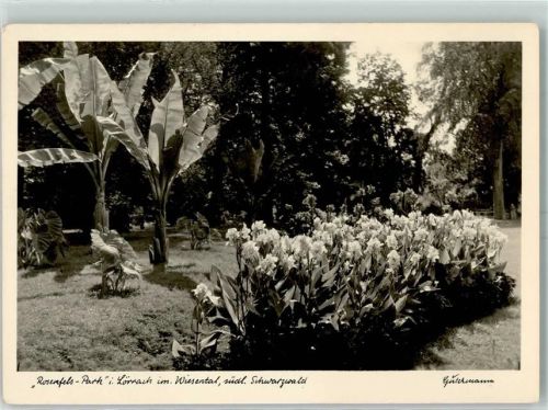 Lörrach Fotograf Gutermann Rosenfels-Park