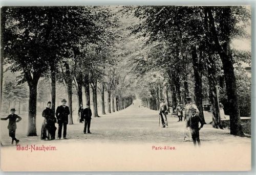 Bad Nauheim Park-Allee Winter