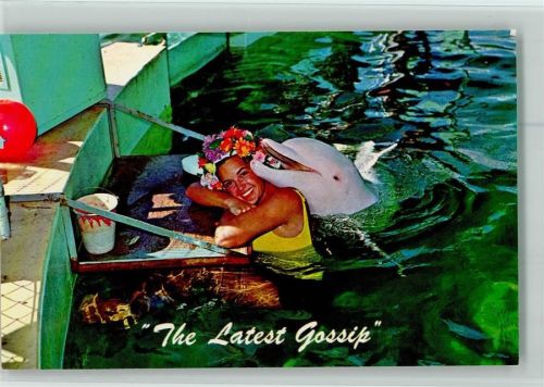 Freizeitpark - Delphin mit Trainerin , sehr gute Erhaltung