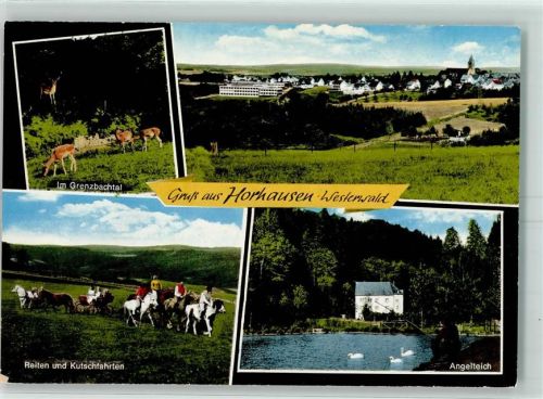 Horhausen Grenzbachtal Reiten und Kutschfahrten Pferde Kutsche Angelteich Schwäne
