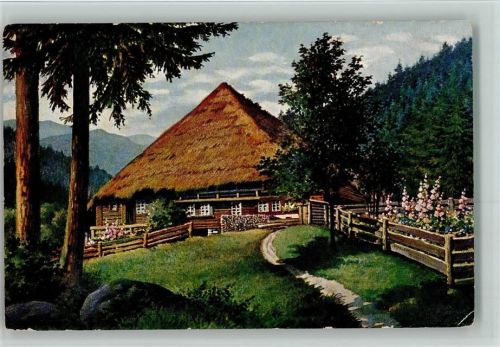 Im Hochschwarzwald , Elchlepp Nr. 5 AK Schwarzwaldhaus