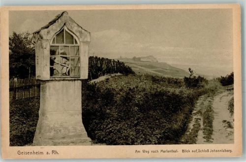 Geisenheim Am Weg n. Marienthal Blick auf Schloss Johannisberg