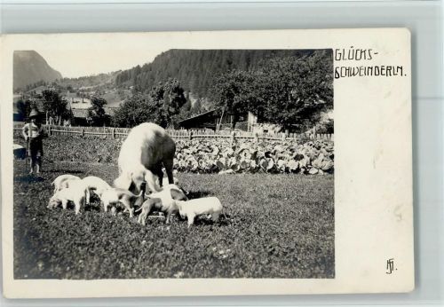 1913 Sau mit ihren Ferkeln im Garten AK