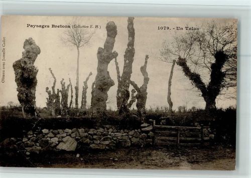 Paysages Bretons - Un Talus 1905 AK