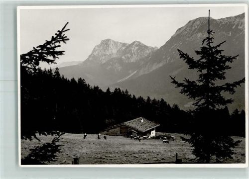 Bäckeralm Rinderweide