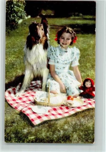 1959 Picknick- gute Erhaltung