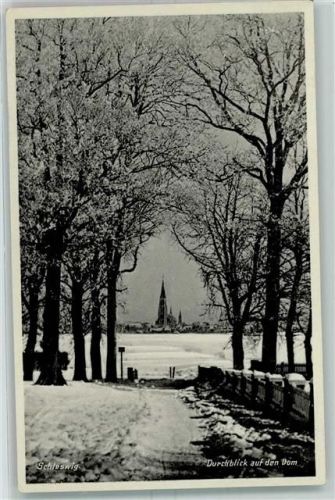 Schleswig Blick auf Dom