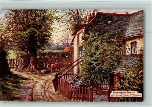 Nr. 7749 sign Jenkins - Picturesque Countries Devon - Efford , gute Erhaltung