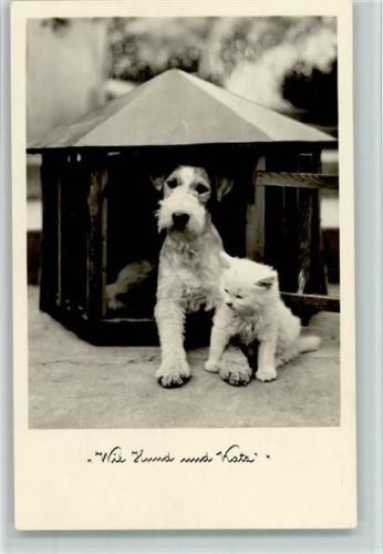 1942 Wie Hund und Katze, gute Erhaltung