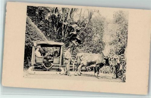 Madaira - Tiergespann mit Schlitten ca 1906 , gute Erhaltung