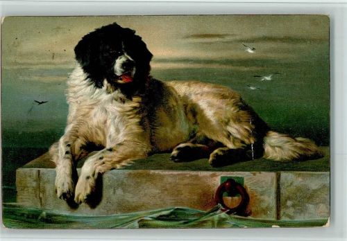 1914 sign. Landseer AK