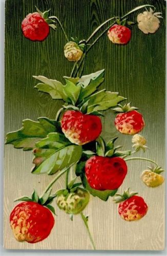 Erdbeeren - gute Erhaltung AK