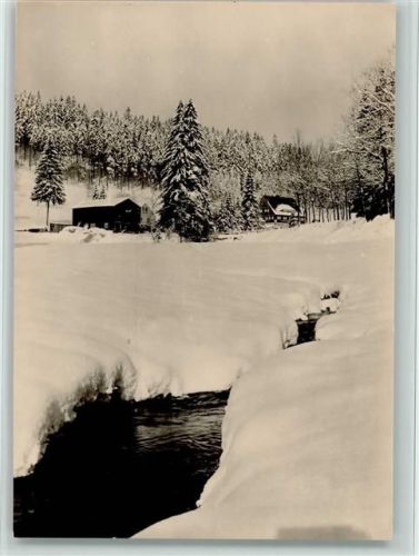 Sayda Winter
