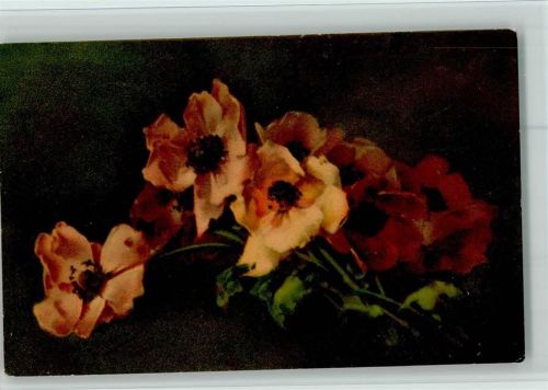 1916 Pastell - Blumen Anemonen , gute Erhaltung AK