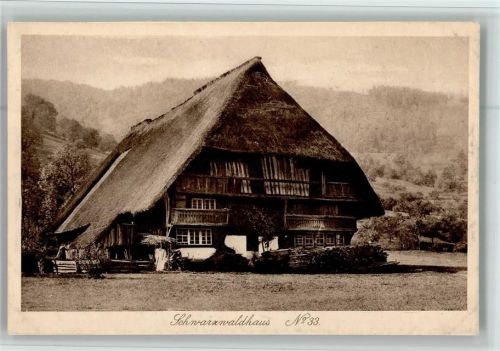 Schwarzwaldhäuser Nr. 33 AK