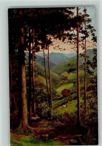Verlag Edm. König 186 , Schwarzwald Serie II Blatt 1, gute Erhaltung