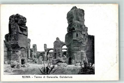 Roma Terme di Caracalla Calidarium