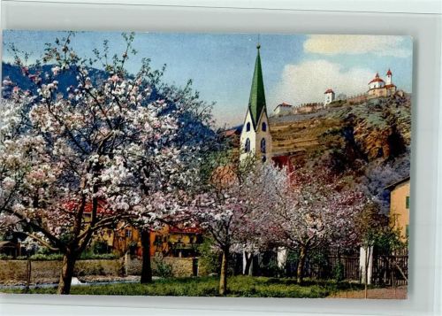 Serie 144 Nr. 2711 Obstblüte in Tirol , gute Erhaltung AK