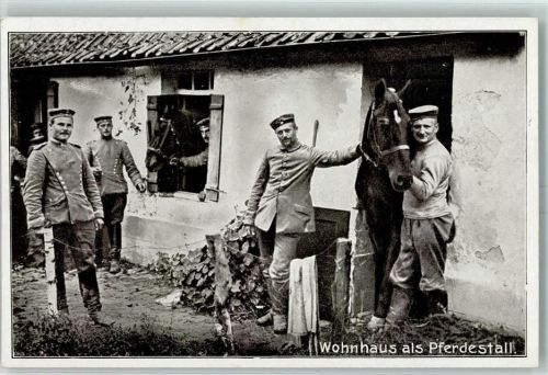 Wohnhaus als Pferdestall Verlag Imberg & Lefson K 278 AK