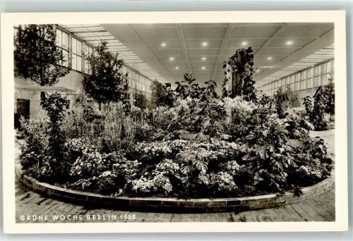 Charlottenburg 1958 Grüne Woche 1958 Blumenhalle