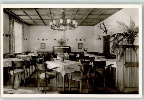 Neckargemünd Hotel Goldener Hirsch Hirschstube Geweih