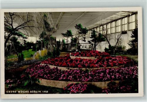 Wilmersdorf 1955 Grüne Woche Innenaufnahme Blumen