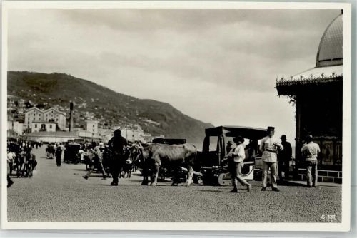 Madeira Carro de Bois
