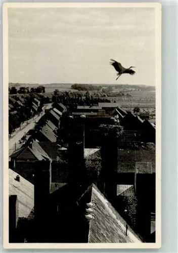 Stüdenitz Storchennest mit auffliegendem Storch über den Dächern des Ortes Ort lt. Stempel