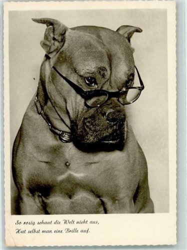 Amag Serie 9025-38 Hund mit Brille AK