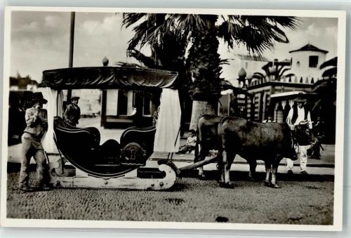 Madeira Carro de Bois