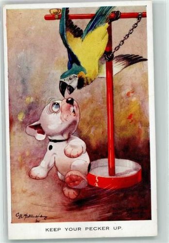 Nr. 1126 Valentines Post Card Hund und Papagei AK
