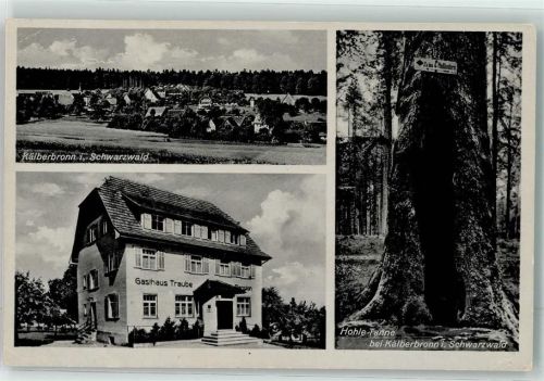 Kälberbronn Gasthaus Traube Hohle Tanne