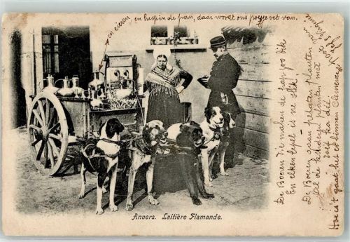 Antwerpen 1904 Hundekarren Milchfrau Polizei