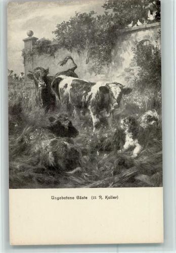 Nr. 21 Verlag Brunner & Co , Kühe und Hund , gute Erhaltung