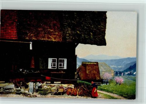 Gutach Serie 167 Nr. 2982 , Gutachtal, Schwarzwaldhaus , gute Erhaltung AK
