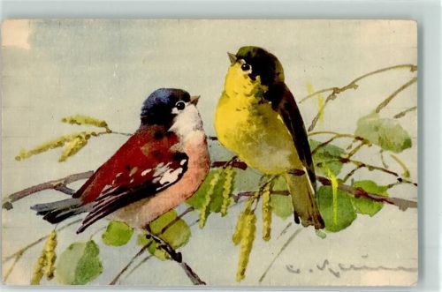 Verlag Stehli Zürich Nr. 1301 Singvögel