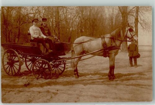 Einspänner Tiergespann Kutsche 1918 Privatfoto AK