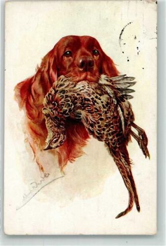 1914 Federwild im Maul