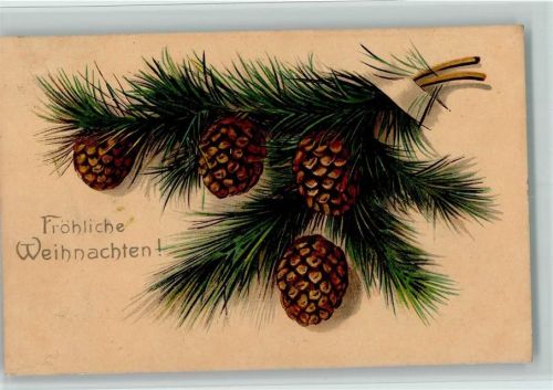 1906 Tannenzapfen AK