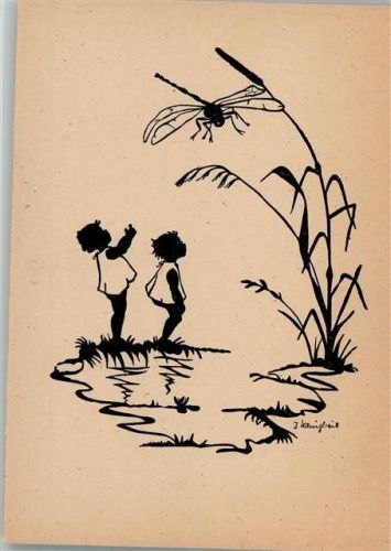 Insekten Libelle AK