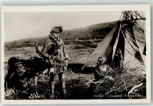 Lappen Rentier Finnmark